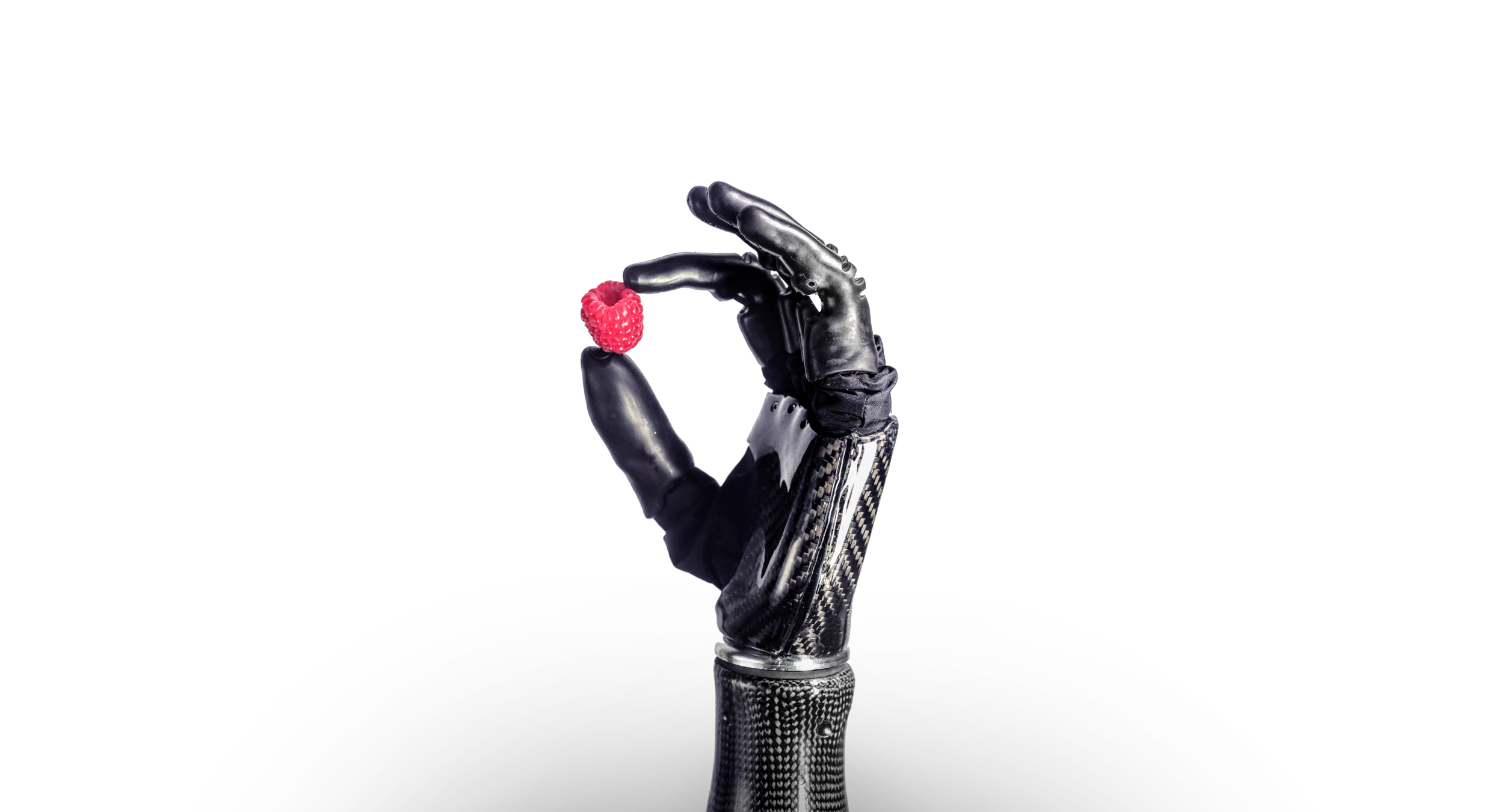 Psyonic prosthetic hand demonstrating fine motor control by delicately holding a raspberry